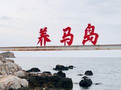 -养马岛旅游度假区