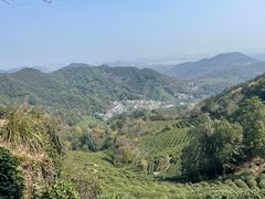 -龙井壹号·茶缘山景宴(龙井村店)
