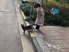 -大华梧桐墅大公馆