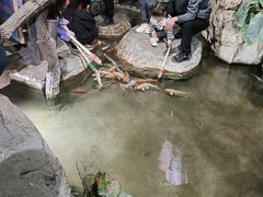 -泉城欧乐堡海洋极地世界