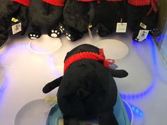 -PAWTOY爪e玩偶店(天兴罗斯福店)