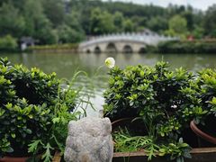 -黑龙潭公园