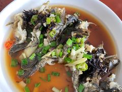 -领鲜土菜馆