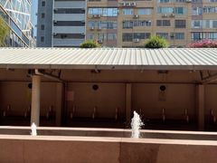-九龙公园