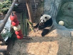 -大连森林动物园