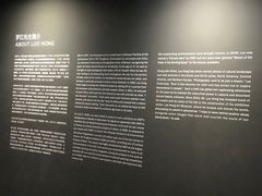 大厅-罗红摄影艺术馆