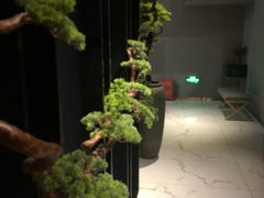 -璞·澐间影院式足道SPA(尚悦湾店)