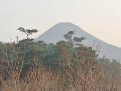-康陵正德春饼宴26号