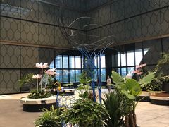 -奈雪的茶(skp店)