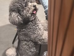 -长洲岛都市农业公园