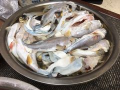 -长顺河豚馆(江洲东路)