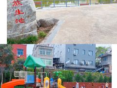 -莲湖公园