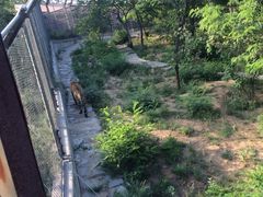 -石家庄极地海洋世界