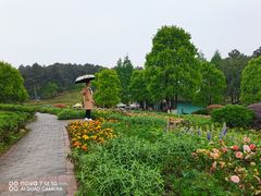 -铁山坪森林公园