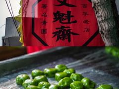 -文魁斋