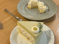 -猫里有甜