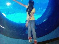 -烟台海昌鲸鲨海洋公园