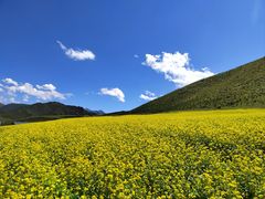 -扁都口生态休闲旅游区