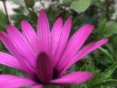-木王宴语·野生鲜菌火锅(玉河店)