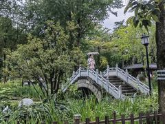 -大理古城-玉洱园