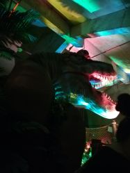 -恐龙探索乐园(磁器口店)