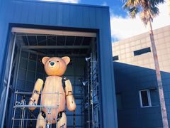 -济州岛泰迪熊博物馆