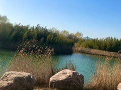 -淇河国家湿地公园