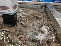 -盒马X会员店(上海森兰商都店)