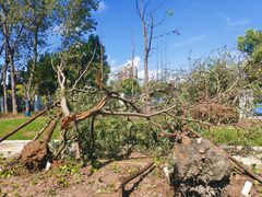 -春花秋色城市公园