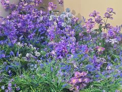 -中航城君尚购物中心