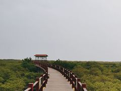 -北海金海湾红树林生态旅游区