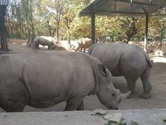 -西安秦岭野生动物园
