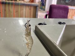 -北京美神宫艺术主题温泉酒店