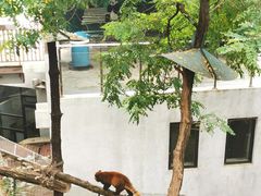 -大连森林动物园