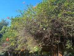 -艾溪湖湿地公园