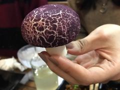 馒头紫薯陷的蘑菇-丽江庭院之爱在路上(西单店)