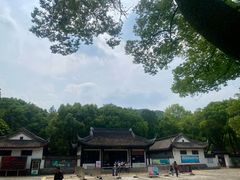 -上海佘山国家森林公园天马山园