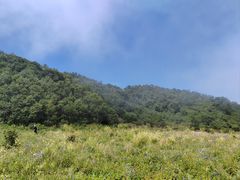 -白草畔自然风景区