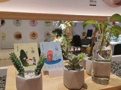 -炖物24章·顺时轻养茶(黄龙店)