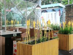 -新廊桥(原科华廊桥店)