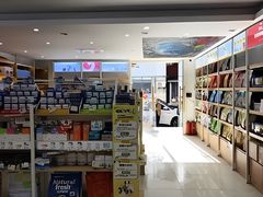 -翊宠yipet猫狗购宠庄园犬舍•猫舍