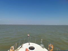 -大湾区中央湿地公园-十九涌