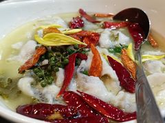 -OLD TREE老树咖啡·西餐厅(台山人工湖店)