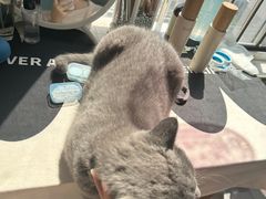 -美联众合24小时·皮肤科·外科·全科诊疗中心(华苑分院)