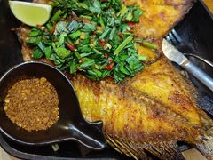 -云海肴·汽锅鸡·云南菜(天津国金汇店)