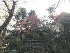 -莫干山风景区