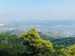 -广州市帽峰山景区