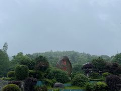 -潜山国家森林公园