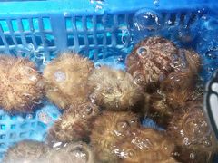 -徐记海鲜(大雁塔|金都店)