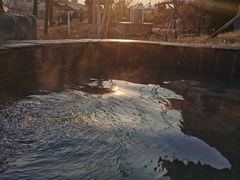 -青岛海泉湾度假区温泉